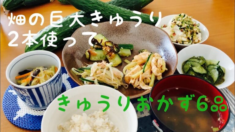 夜遅ご飯にも|巨大きゅうり2本分＝約8本分使い切るきゅうりおかず「つくおき」「一人前食堂」を参考にvlog36