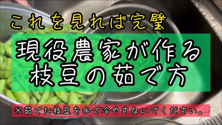 農家が教える絶品枝豆の茹で方