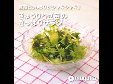 豆苗ときゅうりがシャキシャキ♪  きゅうりと豆苗のさっぱりサラダ ｜ moguna[モグナ]