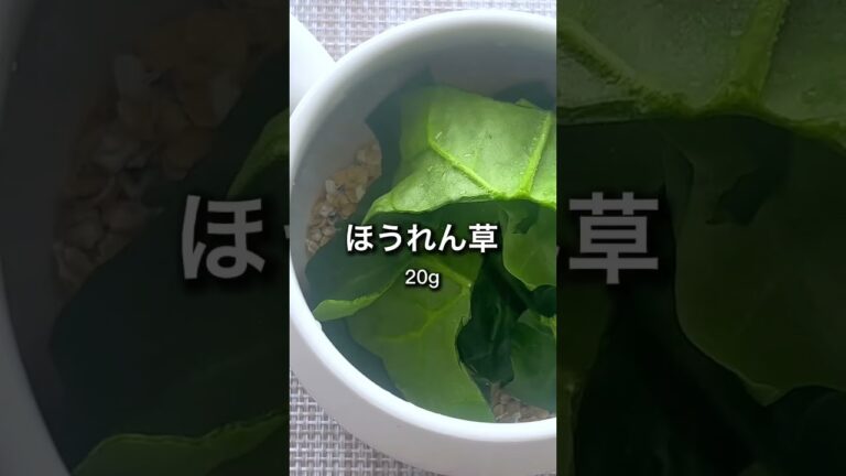 【マグカップオートミール】レンチン中華粥 #shorts #オートミール #ダイエット