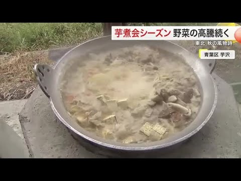 残暑落ち着き 芋煮会シーズンへ　猛暑で具材となる野菜が高騰〈仙台〉 (24/09/23 18:18)