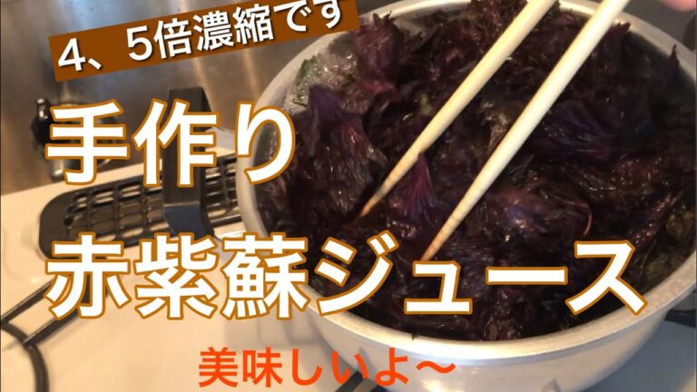 手作り紫蘇ジュース（4、5倍濃縮）美味しいよ　#12