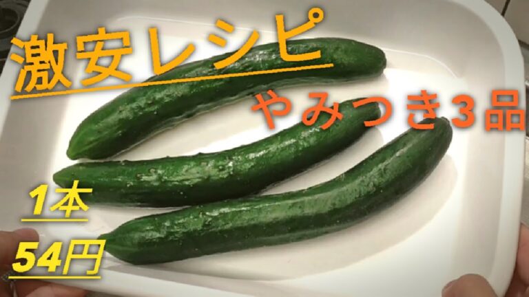 【使いきり】第１弾〜きゅうりで節約レシピ3品〜