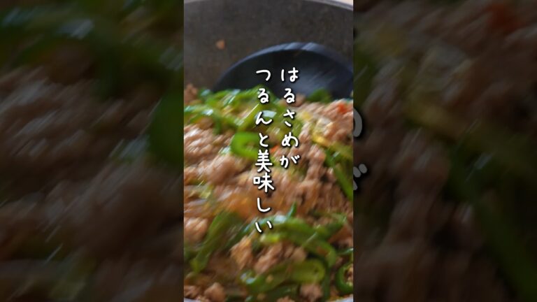 ピーマンとひき肉、春雨・・合わないわけない！満足度高いおかず作りたいならこれしかない！