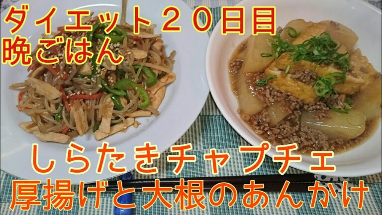 【ダイエット２０日目】晩飯 しらたきチャプチェ【そぼろあんかけ】