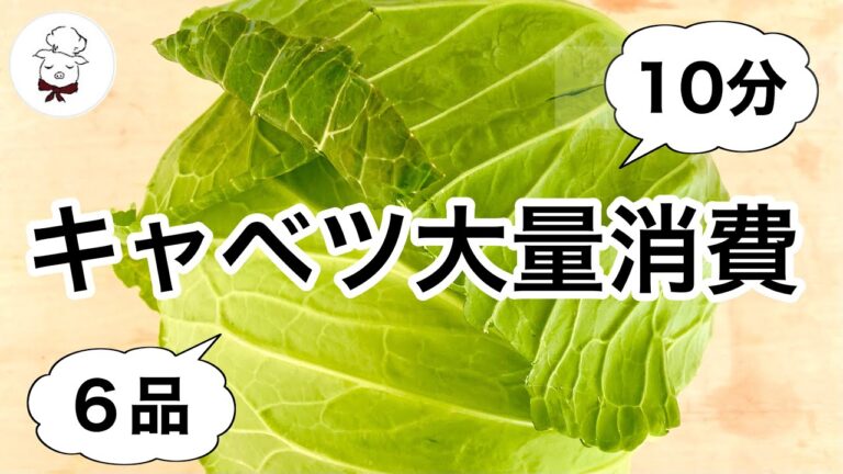 【超簡単】絶対に作って欲しいキャベツレシピ！半なまキャベツさえあれば超楽々♪アレンジレシピ６品｜大量消費｜作り置き｜つくおき｜料理研究家｜料理教室の先生｜春キャベツ料理　作り方