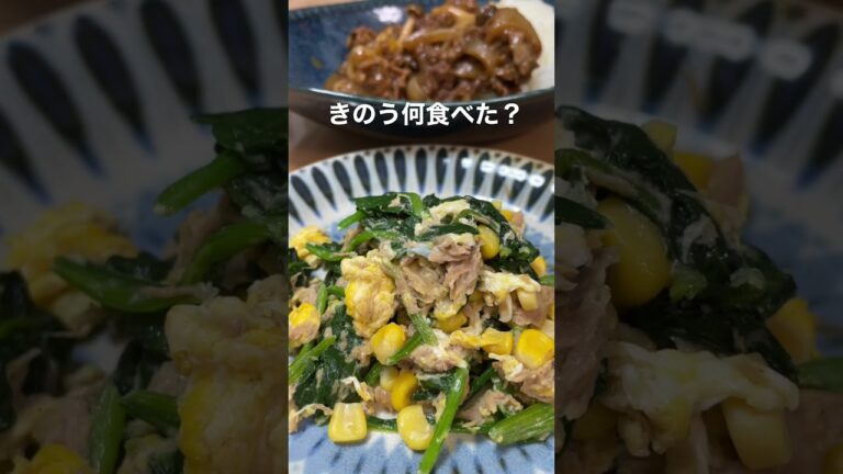 【晩ごはん】きのう何食べた/ハヤシライス/ほうれん草とツナのマヨネーズ炒め/簡単レシピ