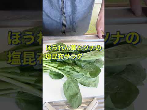 副菜にもお弁当にも最高😍👍【ほうれん草とツナの塩昆布サラダ】#Shorts #ひめりんご