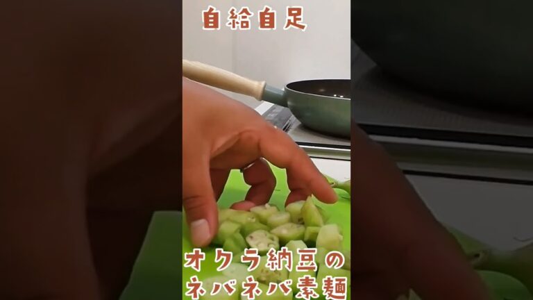 自給自足　オクラ納豆のネバネバ素麺