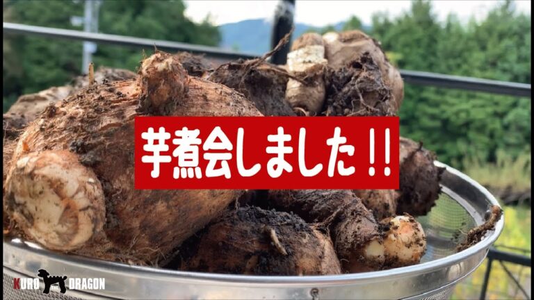 ご近所さんのおじいちゃんおばあちゃんと芋煮会しました!!