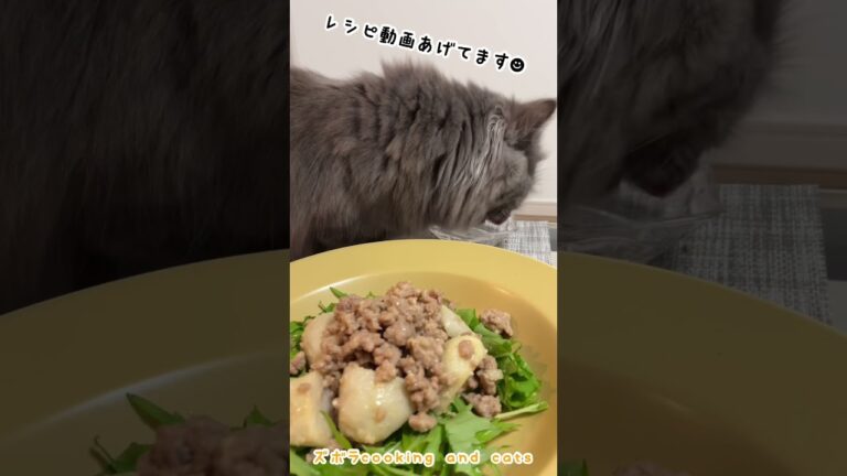 里芋とひき肉の味噌炒めwith cats   #shorts