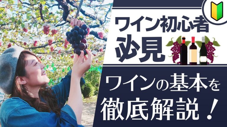 ワイン初心者必見！あまり聞けないワインのあれこれをソムリエが徹底解説！