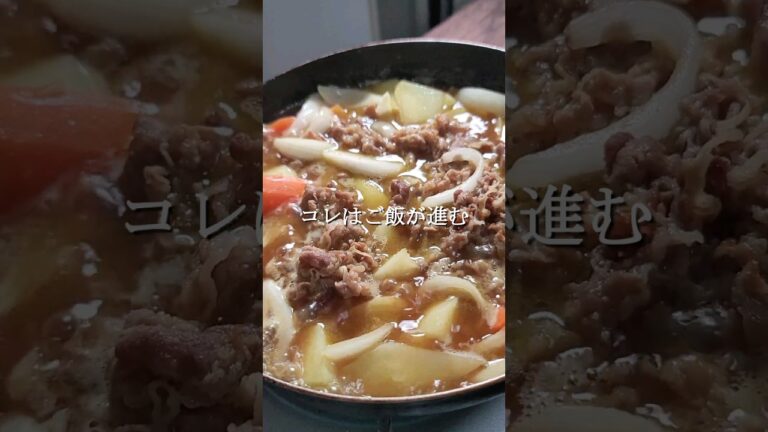 コレはご飯が止まらない、カレー肉じゃがを作ってみた
