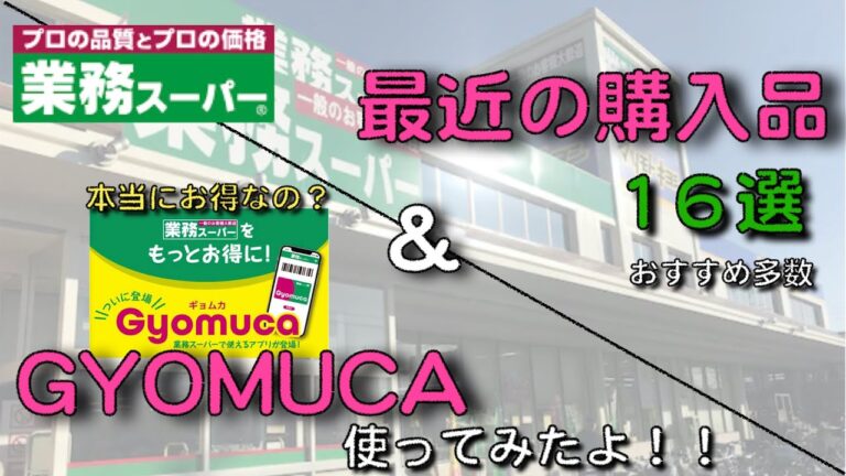 【業務スーパー】GYOMUCA（業務スーパー専用電子マネー）お得なの？ &最近購入品レビュー１６選