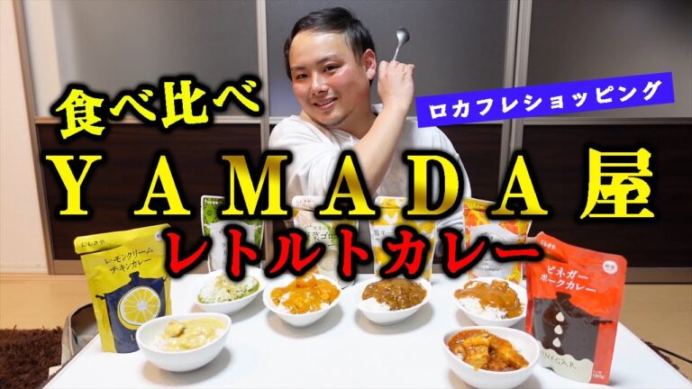 YAMADA屋の高級レトルトカレーを通販して食べ比べしてみた！レモン味のカレーにびっくり