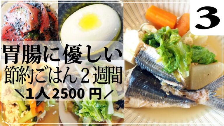 【胃腸炎】胃腸に優しい節約ごはん2週間③ 健康な人も楽しめる食事【節約料理】