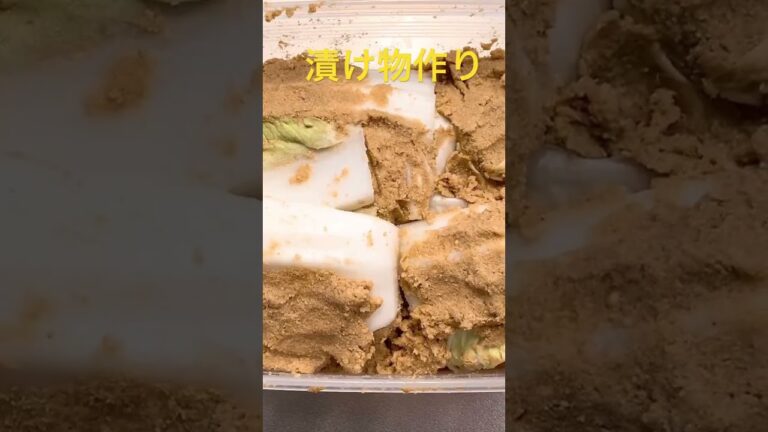 発酵食品作ってみた✨漬け物,塩麹,しょうゆ麹