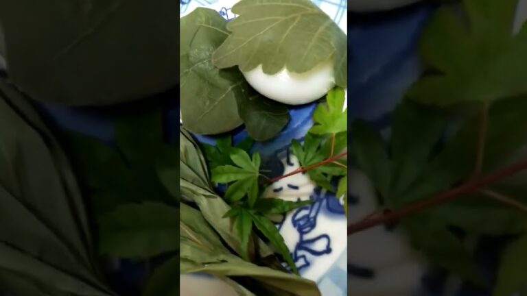 子供の日🎏ちまきと柏餅㊗️背比べ🎉