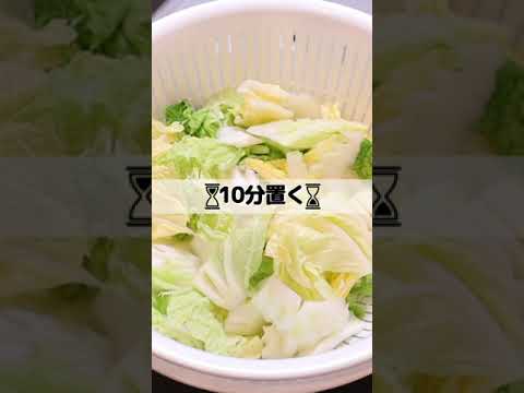 白菜を大量消費!! #shorts