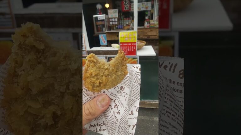 静岡名物黒はんぺんフライ【胡祉斎】が美味い！