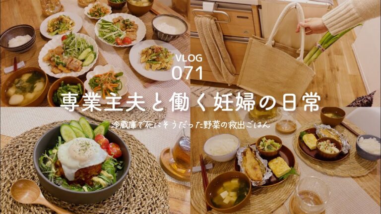 [ vlog ] 鮭の味噌マヨ焼き / ロコモコ丼 / 豚の照り焼き / 20代夫婦 / フレブル / Vlog-071