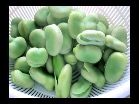 そら豆のゆで方
