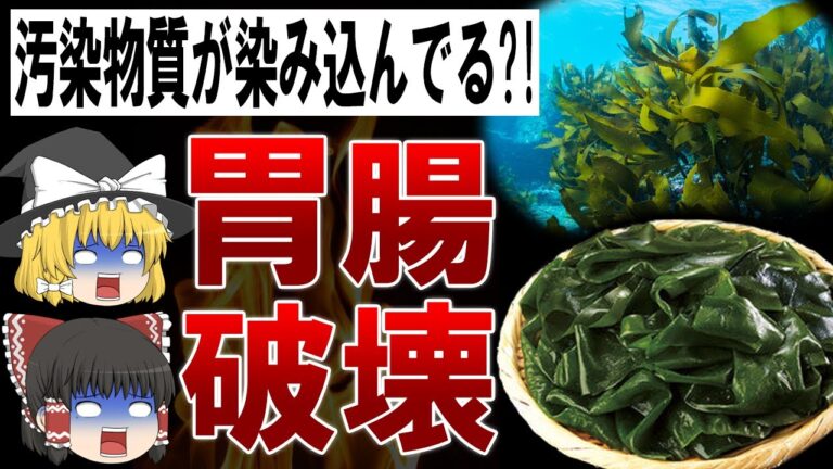 【ゆっくり解説】ワカメ食べると腸が詰まる?!絶対に食べてはいけないワカメの闇