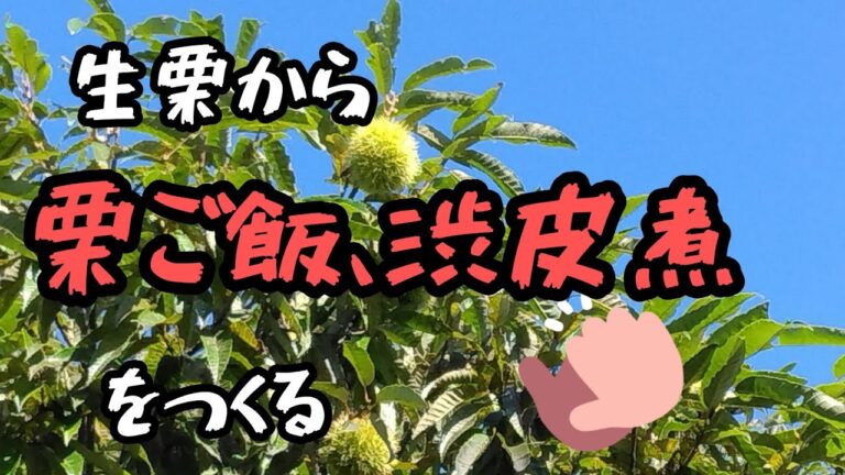 生栗から　栗ご飯　渋皮煮を作る