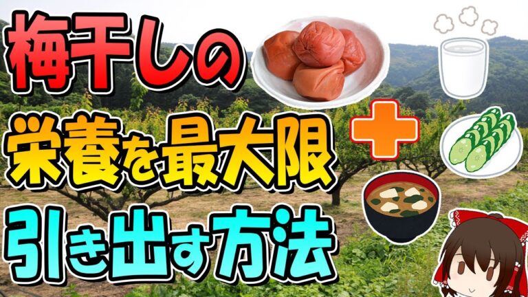 梅干しのすごい栄養5選と栄養が倍増！ちょい足しレシピも紹介