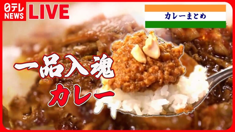 【カレーまとめ】スパイス香るカレー/懐かしい味のカレー/肉盛りスタミナカレー/高円寺 独創的なカレー　など　グルメニュースライブ（日テレNEWSLIVE）