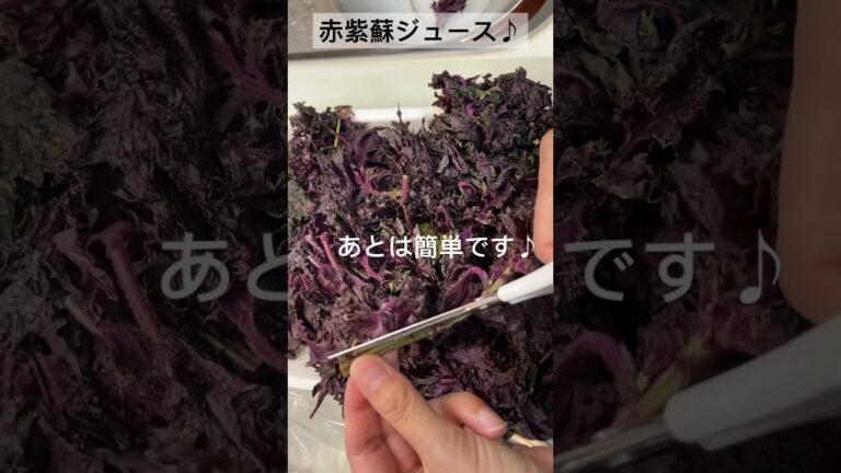 【赤紫蘇ジュース♪】① #かんたんレシピ #夏レシピ #おやつレシピ #おやつ #赤紫蘇ジュース #赤紫蘇#紫蘇#食欲不振 #体力アップ #解毒作用#良い香り