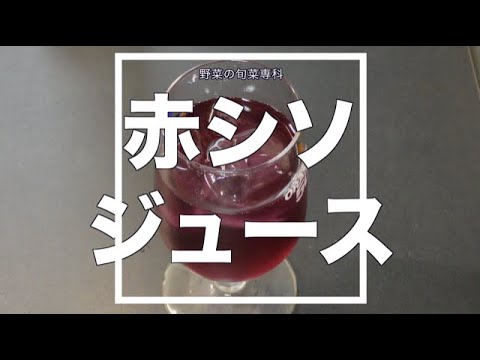 大葉　シソジュース　甘口仕立て　シソジュースの作り方　夏を乗り切る家庭菜園ジュース　VLOG Kitchen garden routine