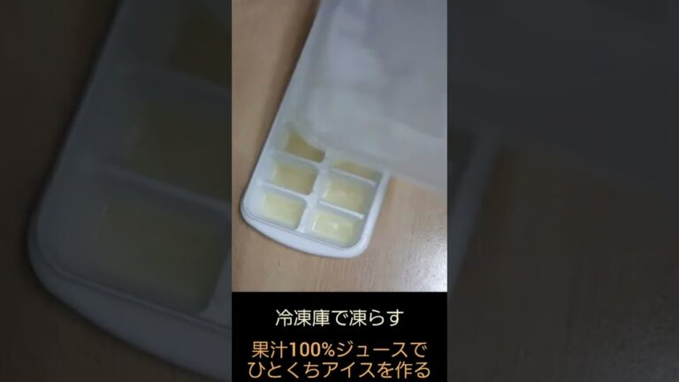 果汁 100% ジュースで ひとくち アイス 氷 りんご APPLE JUICE 製氷皿 ダイソー DAISO 簡単 料理 調理 2022年8月