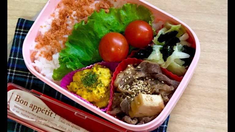 【お弁当 牛厚揚げ甘辛炒め煮弁当】lunchbox bento