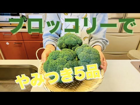 【ブロッコリーレシピ5選】素材を活かした簡単やみつきブロッコリーレシピ5品で晩酌