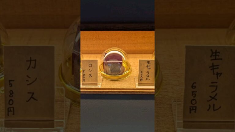 2023/12/22 in #こたろう和 その１ #カシス #羊羹 #ようかん #和菓子 #大阪グルメ #大阪スイーツ #阿倍野グルメ #阿倍野スイーツ