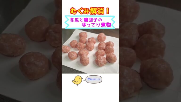 冬瓜と鶏団子のほっこり煮物