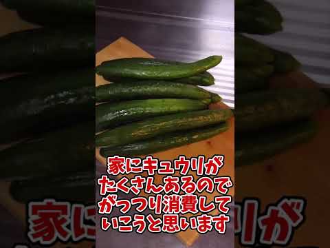 きゅうりとトマトさえあれば簡単にこんなに美味しいサラダができるんやで！！！【味噌野菜】【ゆっくり料理】#Shorts