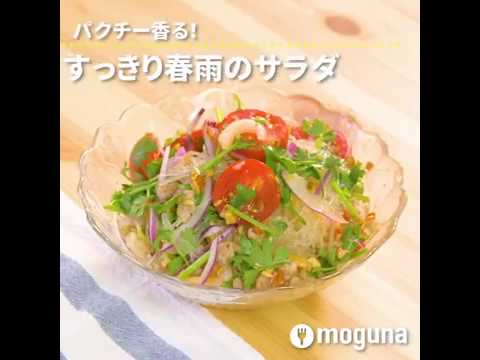 パクチー香る！ すっきり春雨のサラダ ｜ moguna[モグナ]