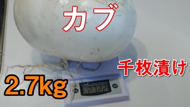 2.7kgカブで千枚漬けつくります