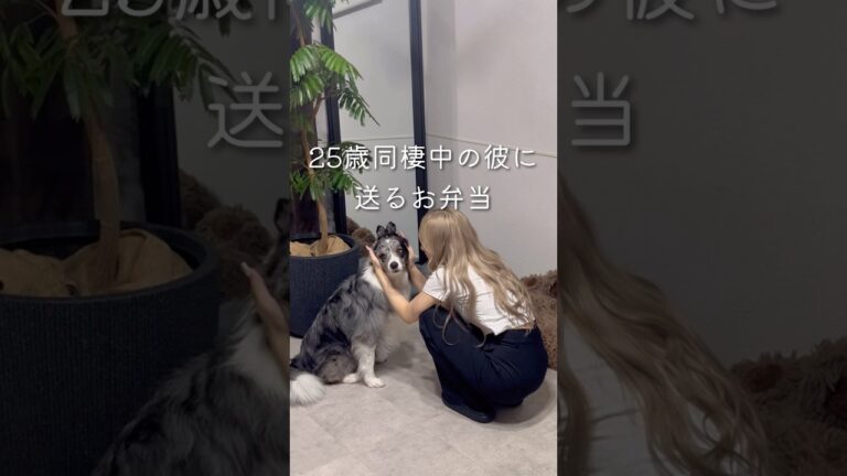 【25歳同棲彼へのお弁当】ネギ塩豚丼弁当🍱 #同棲ご飯 #毎日弁当 #お弁当