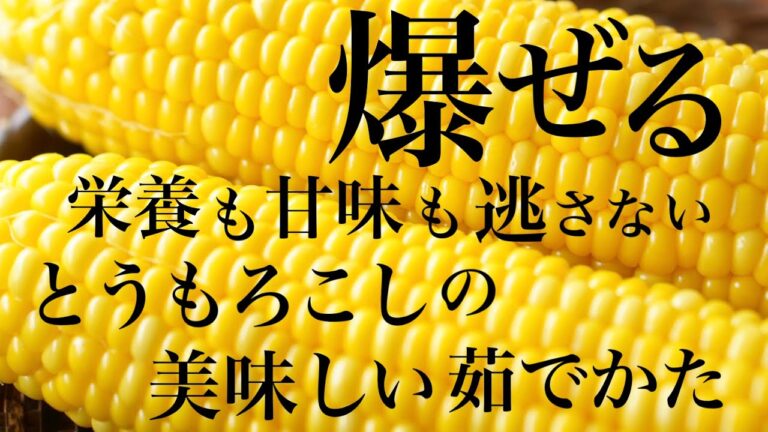 【たった２分】とうもろこしの最高に美味しい茹で方、栄養、選び方【冷めても美味しさキープ】