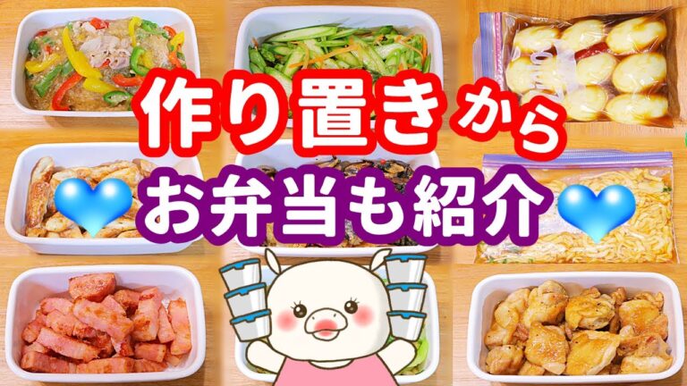 【9品作り置き】お弁当も紹介♪簡単で楽チンおかず！副菜も！【1週間作り置き】#262