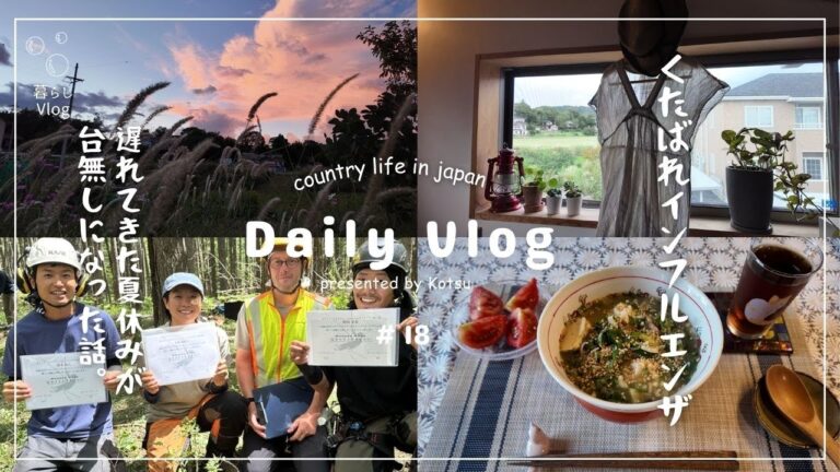 【田舎暮らしvlog】おひとりさまの素敵な夏休みになるはずが台無しになった話🤧ご馳走そうめん・冷や汁🥒季節を見送る夏ご飯🍅🍴🍆