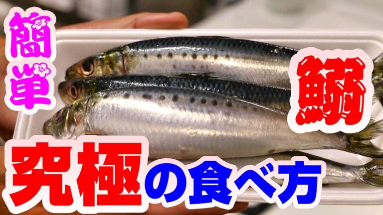 新鮮で旬のいわしは大トロを超える⁉️魚屋が教える究極のいわしの食べ方！普通のいわしの刺身と食べ比べ！【魚のさばき方】