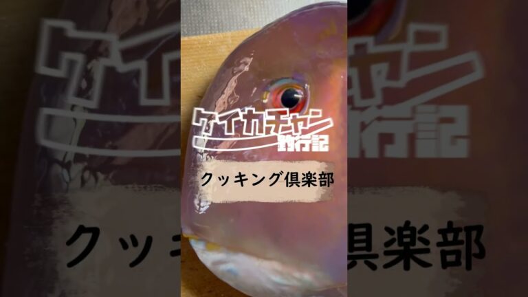 釣れたらこれはやって！魚ハンバーグ！！