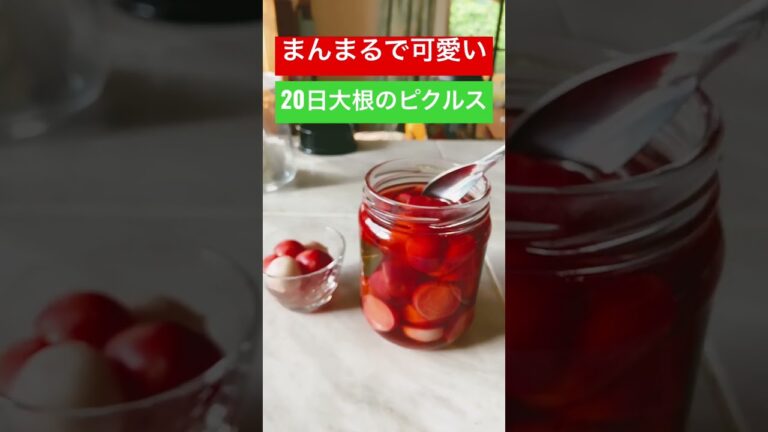 【丘の上のモネの家】20日大根のピクルス作り方　#有機野菜　#ピクルス　#モネの家茨城県　#民泊茨城県モネの家　#カントリーライフ #自然農