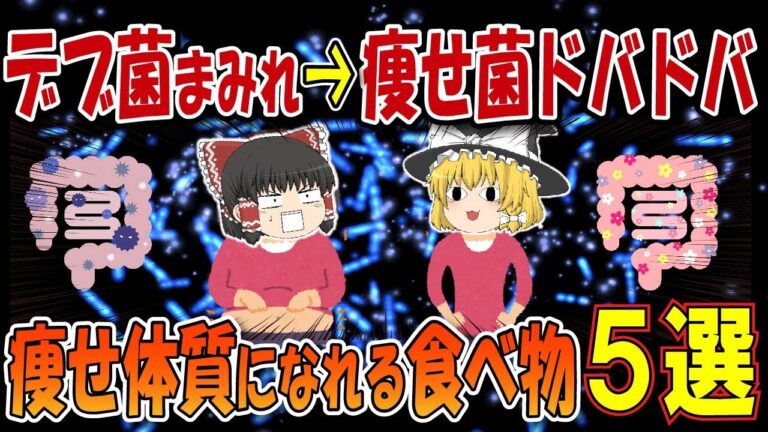 【ゆっくり解説】肥満脱出へのカギを握るのは〇〇菌だった！5つの食材がもたらす驚異的な効果とは！？