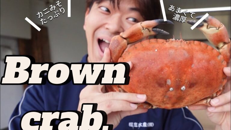 【日本上陸】噂のブラウンクラブ🦀