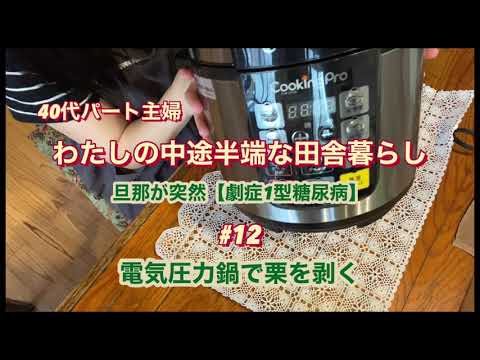 【電気圧力鍋で栗を茹でる】おじいさんにもらった栗を簡単に皮剥きしたい→圧力鍋で茹でると簡単らしい